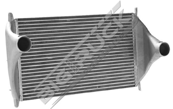 Picture of Freightliner Charge Air Cooler 0441148