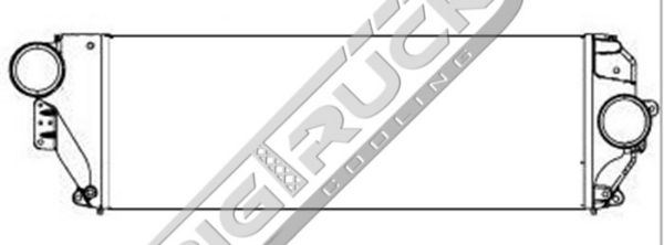 Picture of International Navistar Charge Air Cooler 0441304
