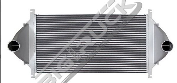 Picture of International Navistar Charge Air Cooler 0441307