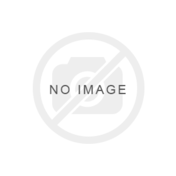 Picture of Detroit Diesel Charge Air Cooler 0441901